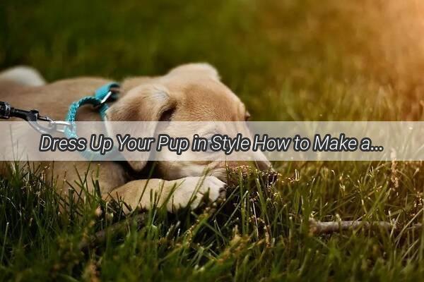 Dress Up Your Pup in Style How to Make a Charming BowKnot Skirt for Your Dog